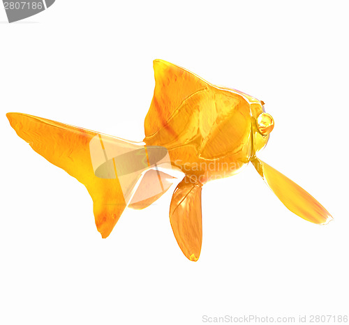 Image of Gold fish