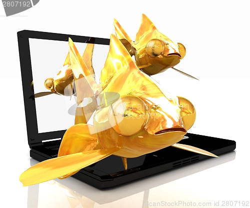 Image of Gold fishea and laptop