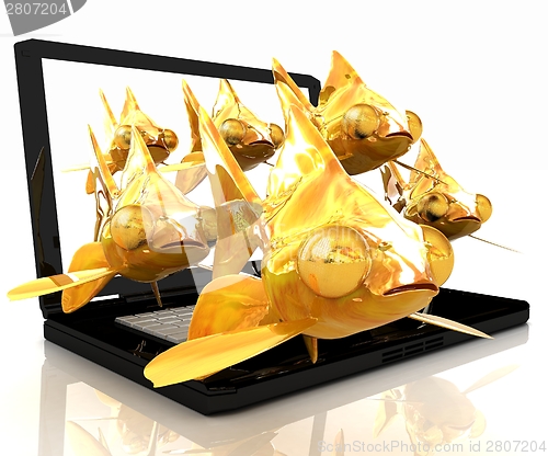 Image of Gold fishea and laptop