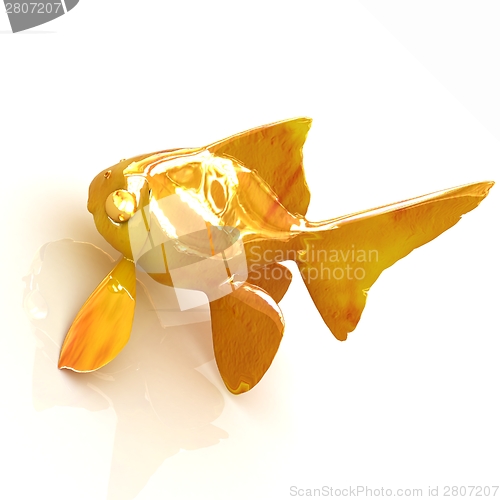 Image of Gold fish