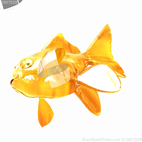 Image of Gold fish