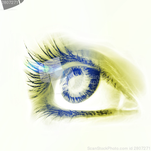 Image of Great big eye.