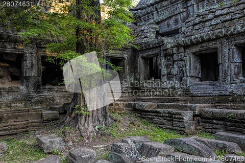 Image of Sunrise over Ta Phrom