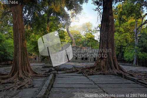 Image of Sunrise over Ta Phrom