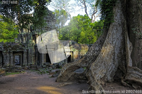 Image of Sunrise over Ta Phrom