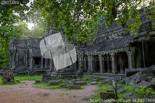 Image of Sunrise over Ta Phrom