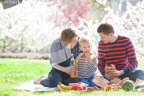 Image of family picnic