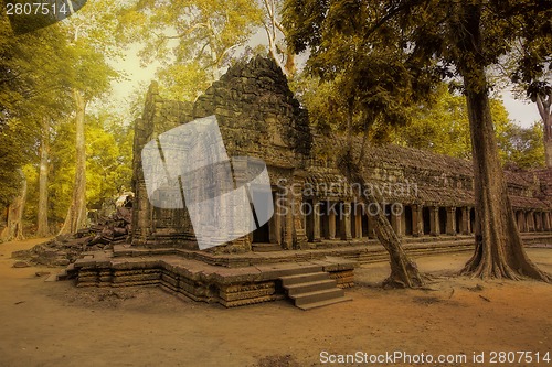 Image of Sunrise over Ta Phrom