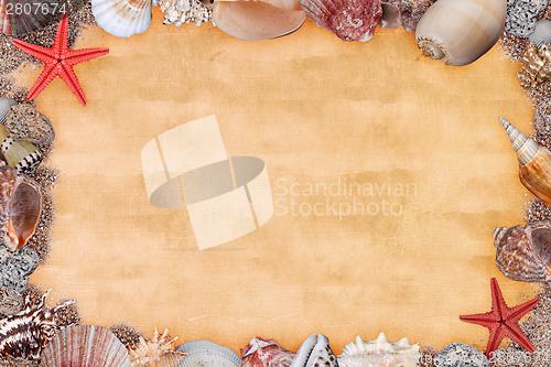 Image of Frame of sea shells