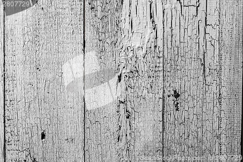 Image of white wood texture