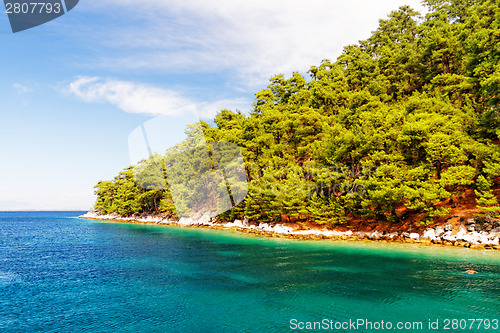Image of Green island