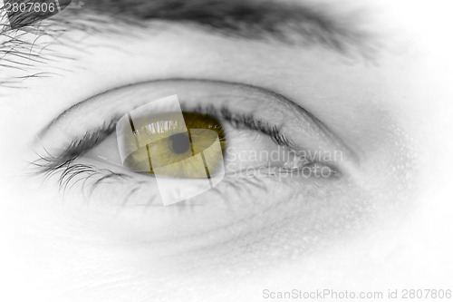 Image of Young man's eyes