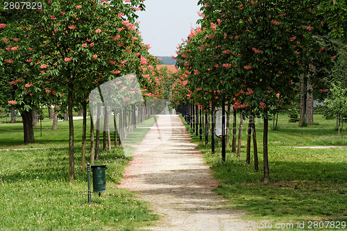 Image of Green park