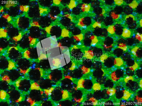 Image of Halftone micrograph