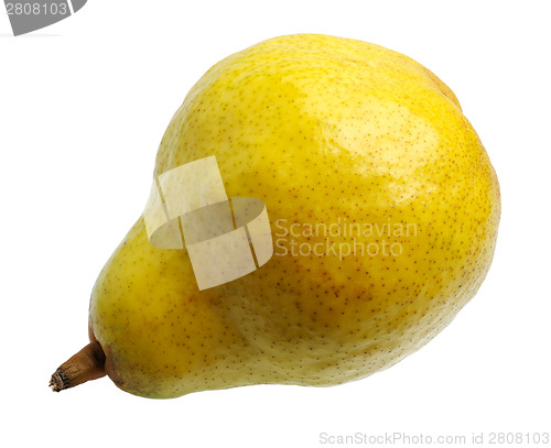 Image of Pear 