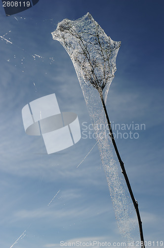 Image of Drops of dew on a spider web 