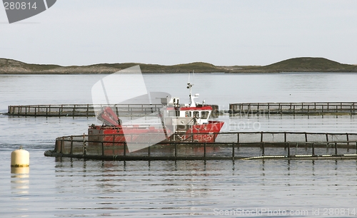 Image of Sea farm