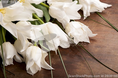 Image of flowers isolated