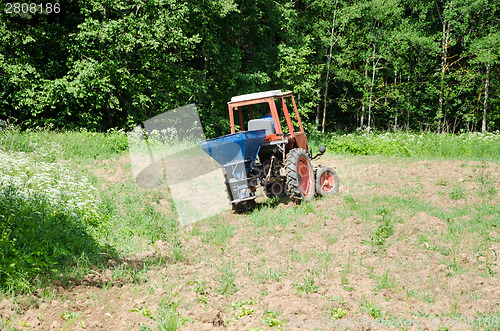 Image of Farmer sow buckwheat seeds in field with tractor 