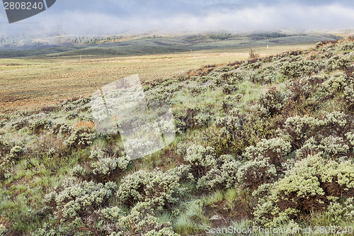 Image of mountain valley with sagebrush