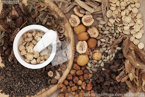 Image of Chinese Herbal Health