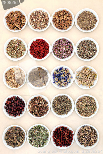 Image of Naturopathic Herbs