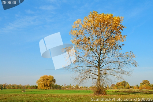 Image of Autumn