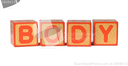 Image of Body on Colored Wooden Childrens Alphabet Block.