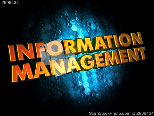 Image of Information Management - Gold 3D Words.