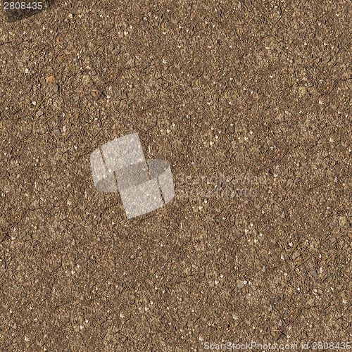 Image of Dry Cracked Soil with Stones and Branches.