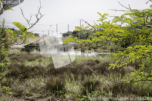 Image of Fishing huts on the lagoon