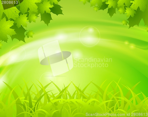 Image of Vector spring background