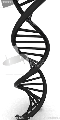 Image of DNA structure model