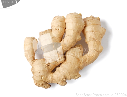 Image of Ginger