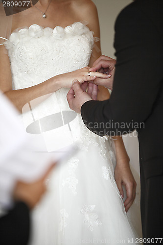 Image of Hands of a bride and groom