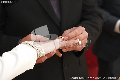 Image of Hands of a bride and groom