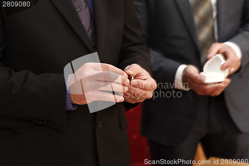 Image of Hands of a bride and groom