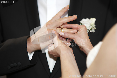 Image of Hands of a bride and groom