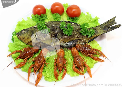 Image of  fish dish