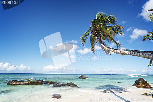 Image of tropical beach