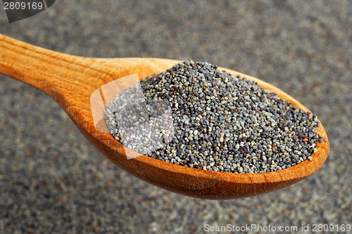 Image of Poppy seeds