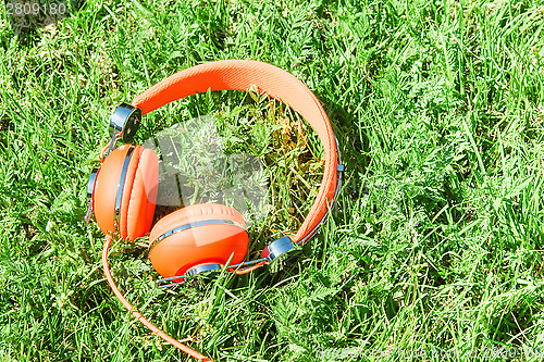 Image of Bright orange colorful headphones on fresh sward