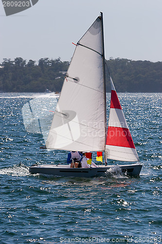 Image of Sailing on the Harbour