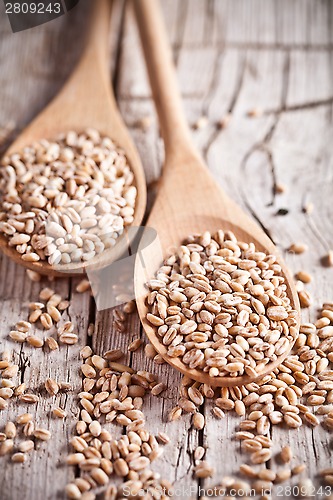 Image of wheat grain in wooden spoons