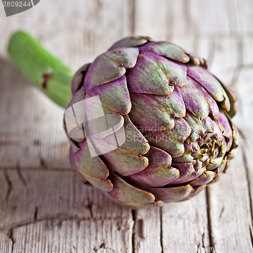 Image of fresh artichoke