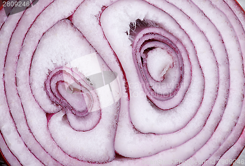 Image of Red Onion Background