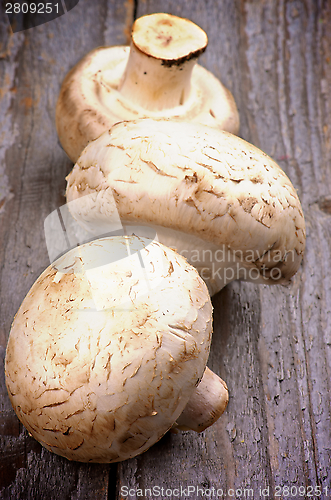 Image of Raw Champignons