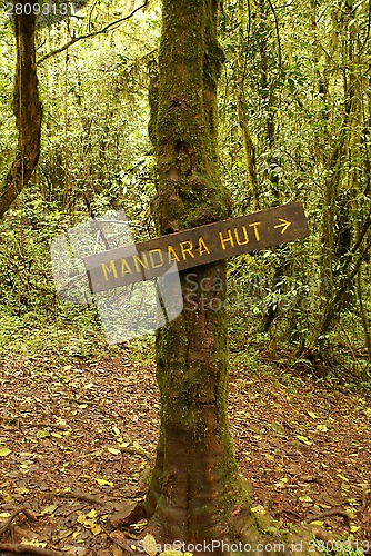 Image of Mandara hut