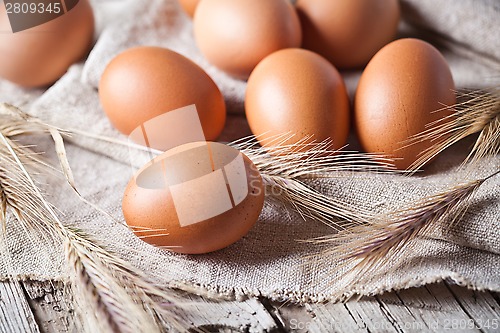Image of  fresh brown eggs and wheat ears 