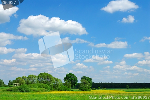 Image of Spring Landscape